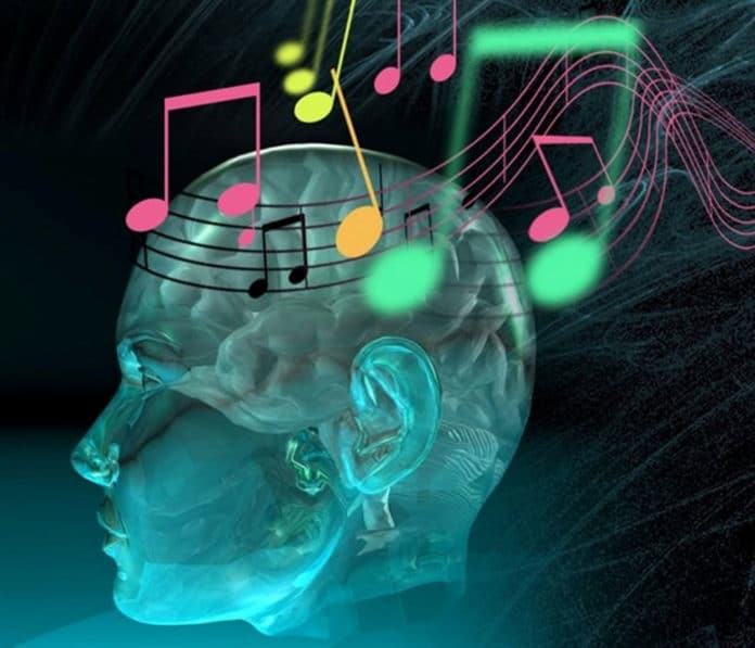 How our brain distinguishes between voice and sound?