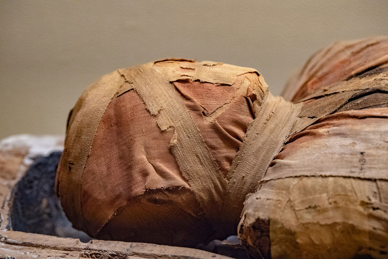 Sound Of A Mummy Heard Again For The First Time In 3 000 Years Tech Explorist