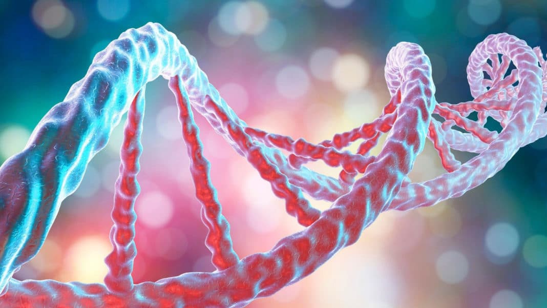 First Now Complete Sequence Of A Human Genome