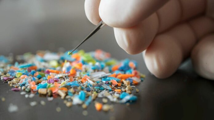 scientist with medical gloves inspecting micro plastics