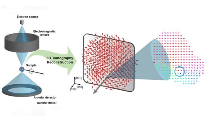 Three-dimensional polarization distribution of BaTiO3 nanoparticles