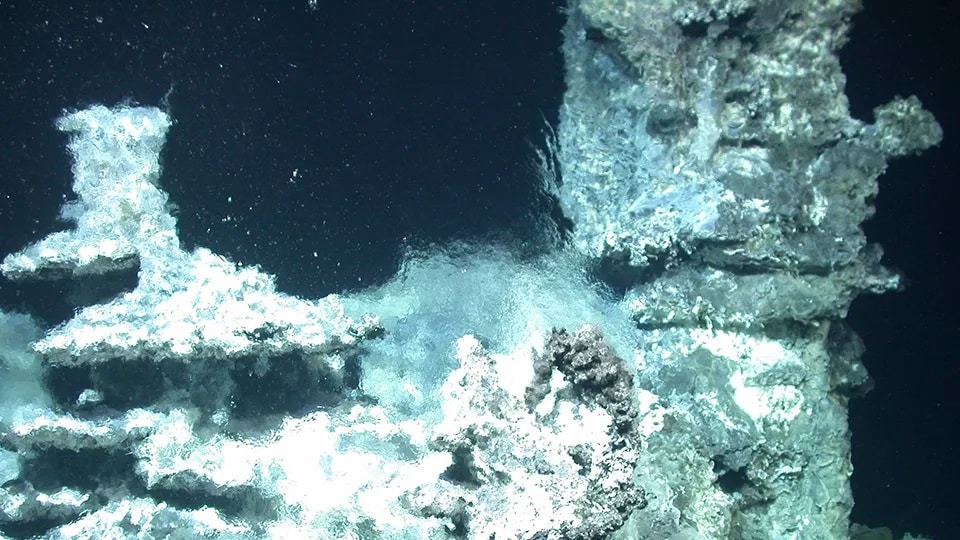 The most spectacular hydrothermal vent of the MSM109 expedition featured several chimneys and vents, and the outflowing fluid shimmered around it. This complex structure was named the Yggdrasil Hydrothermal Vent, from the name of the Tree of Life in Nordic mythology.