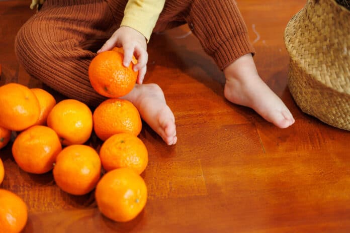 Many orange citrus tangerines lie on the table near children's feet