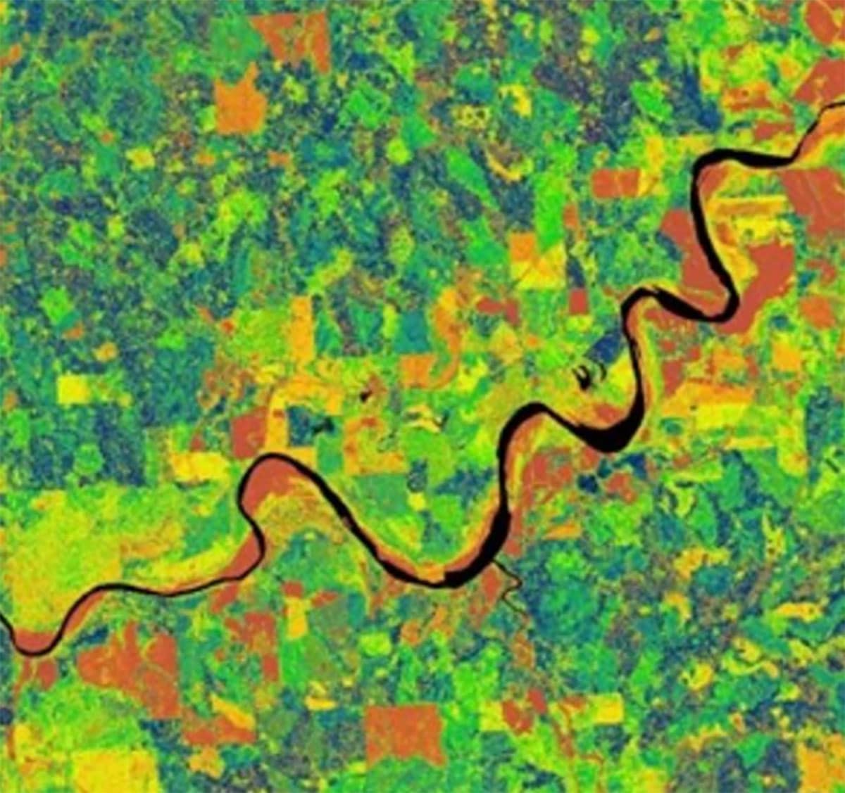 LiDAR remote sensing has emerged as a powerful tool for capturing detailed terrain features and three-dimensional vegetation structures. In this figure, we focus on the Mississippi Delta region in the United States, where a 1-meter resolution vegetation canopy height model was derived from airborne LiDAR data.