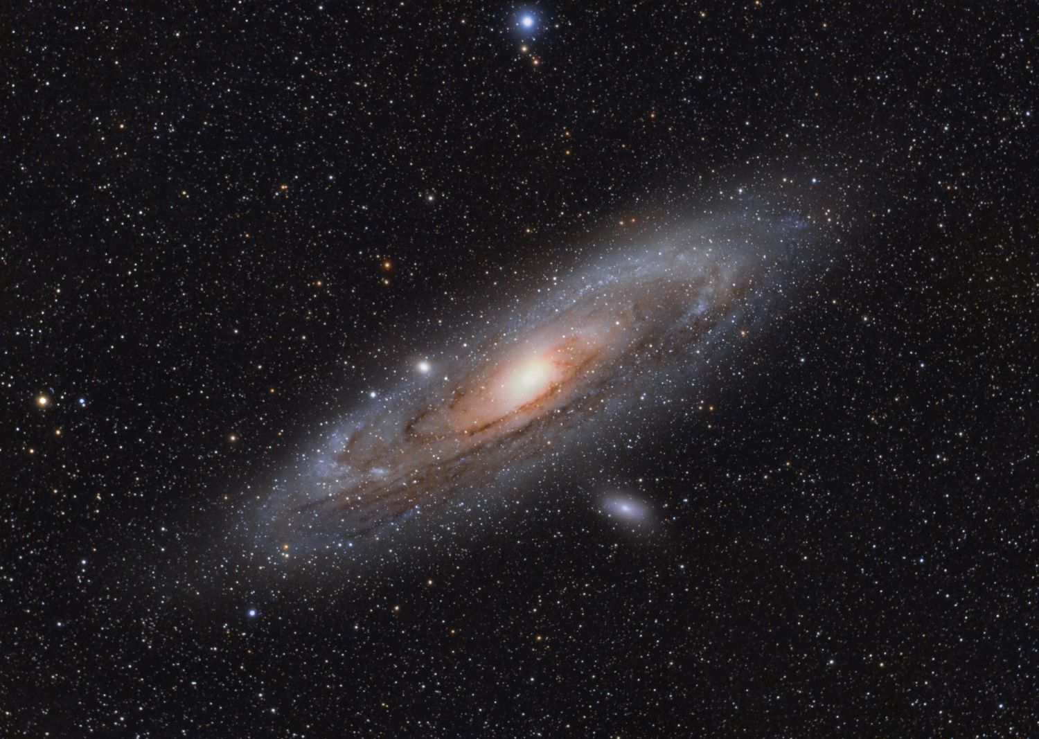 Scenic view of star field and galaxy against sky at night