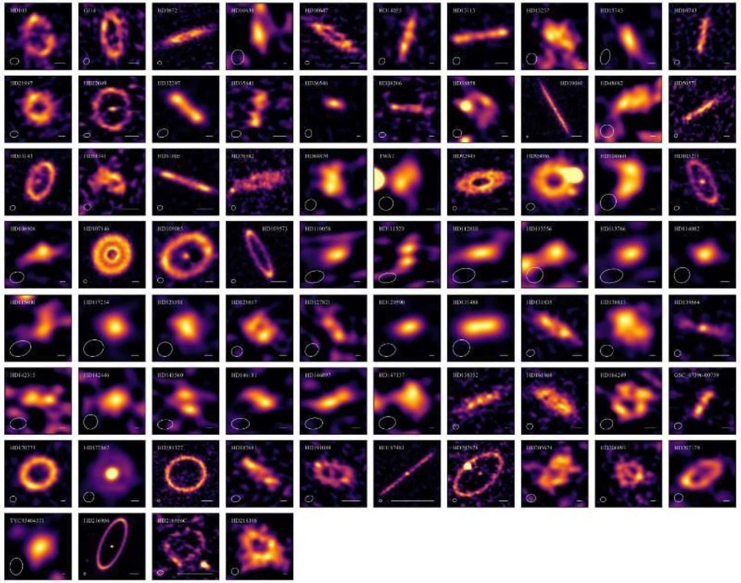 Unprecedented images of Exocomet belts around nearby stars