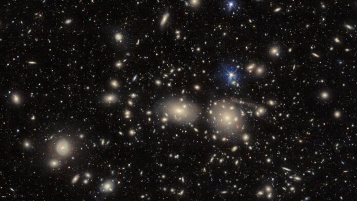 Coma cluster