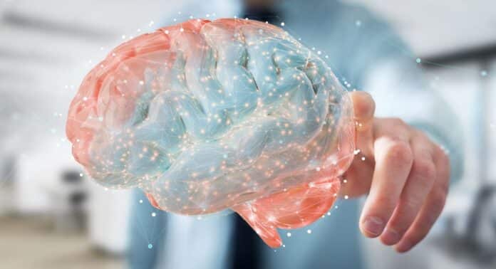 Businessman using using digital 3D projection of a human brain