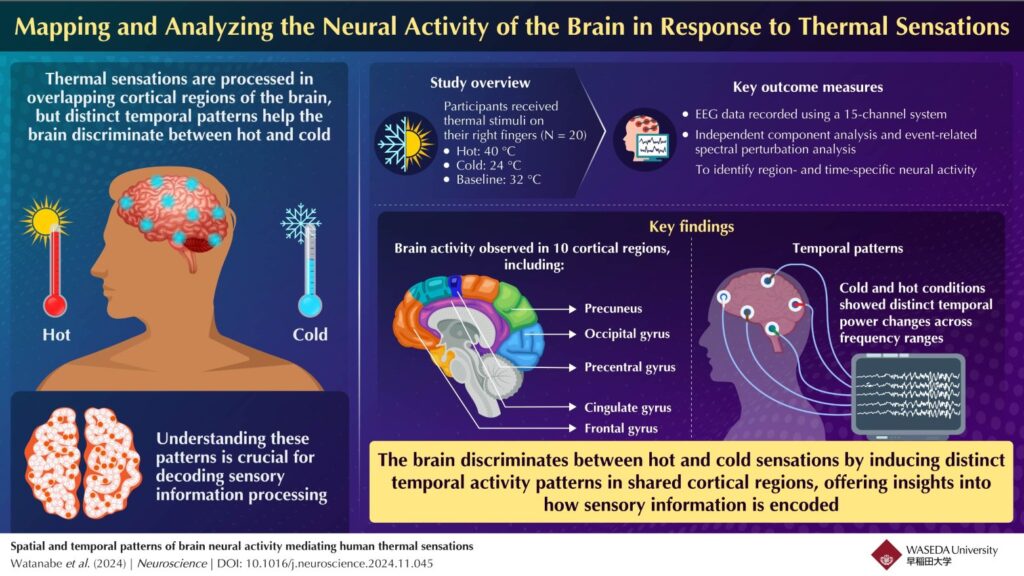 brain discriminates between hot and cold sensations 