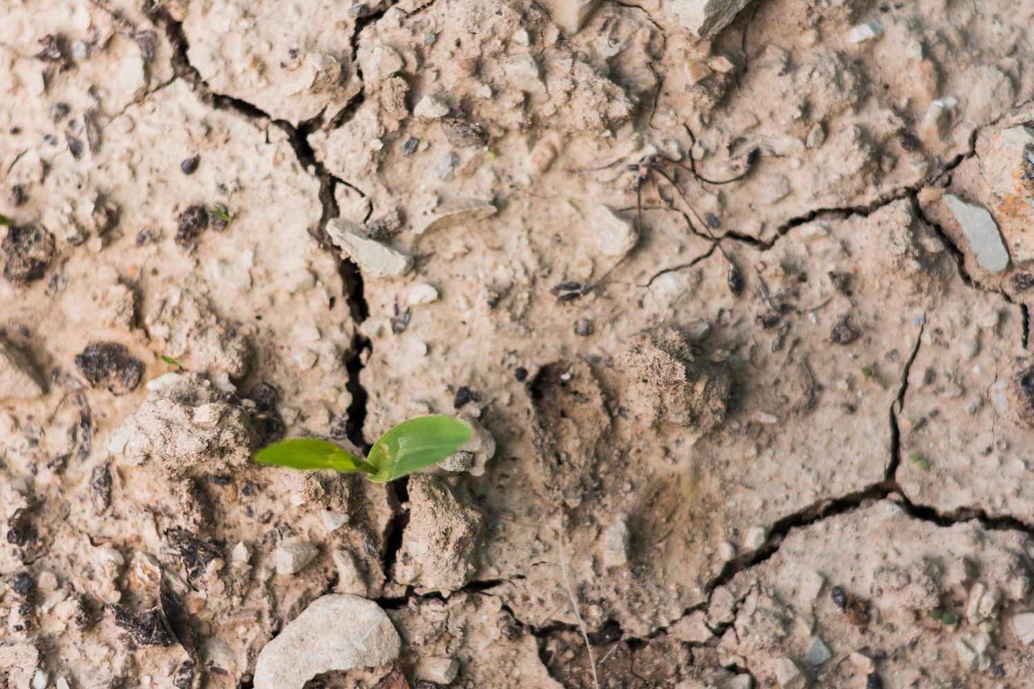 soil contamination